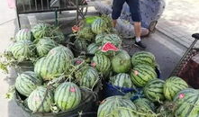 晋城网红吃瓜事件,揭秘网络舆论的风暴与真相